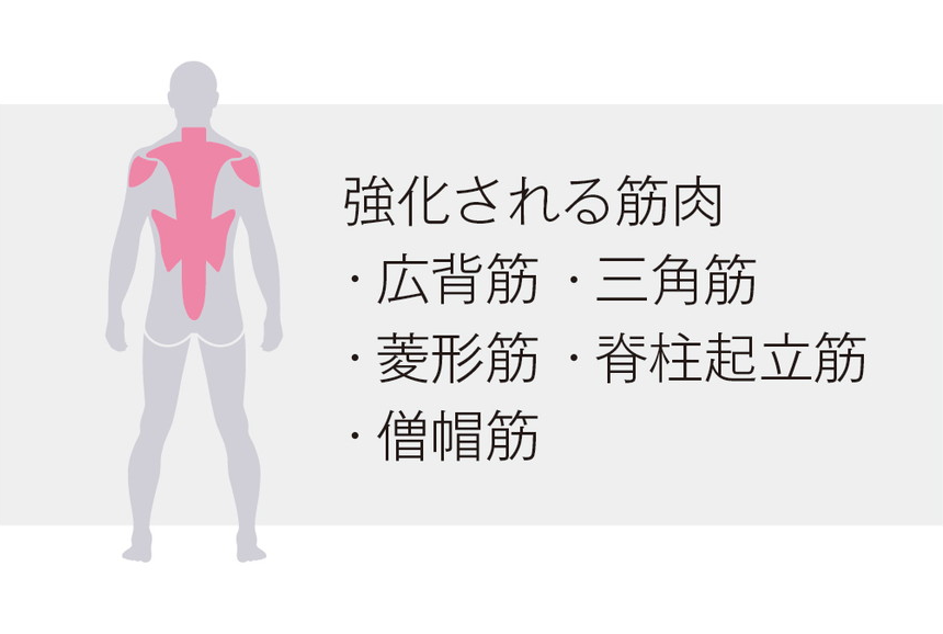 最新の筋力トレーニングマシンで身体を健康に